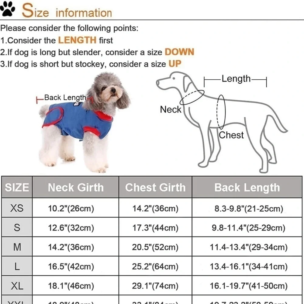 Doglemi dog surgery recovery small